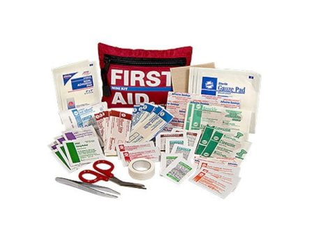 First Aid Mini-Kit Hot on Sale